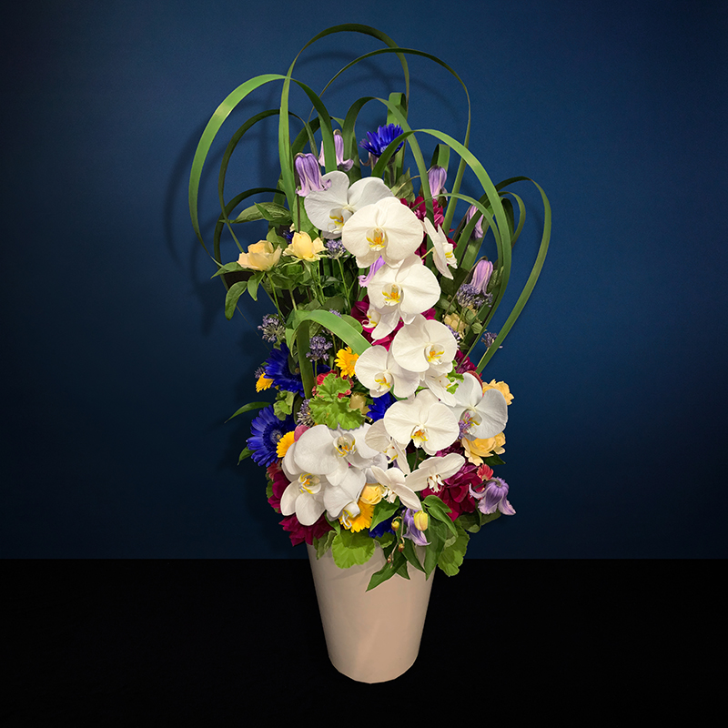 他にはない胡蝶蘭アレンジメント