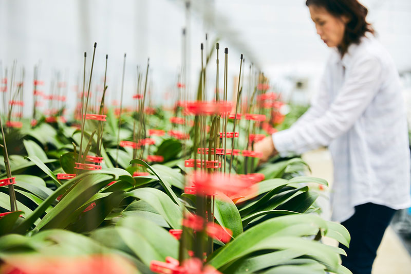 スタッフについて