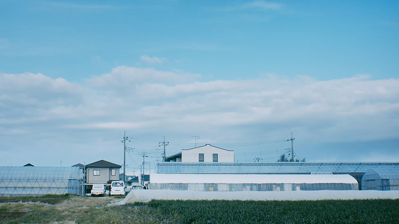 Planet's Hug Orchid 我孫子農場の様子