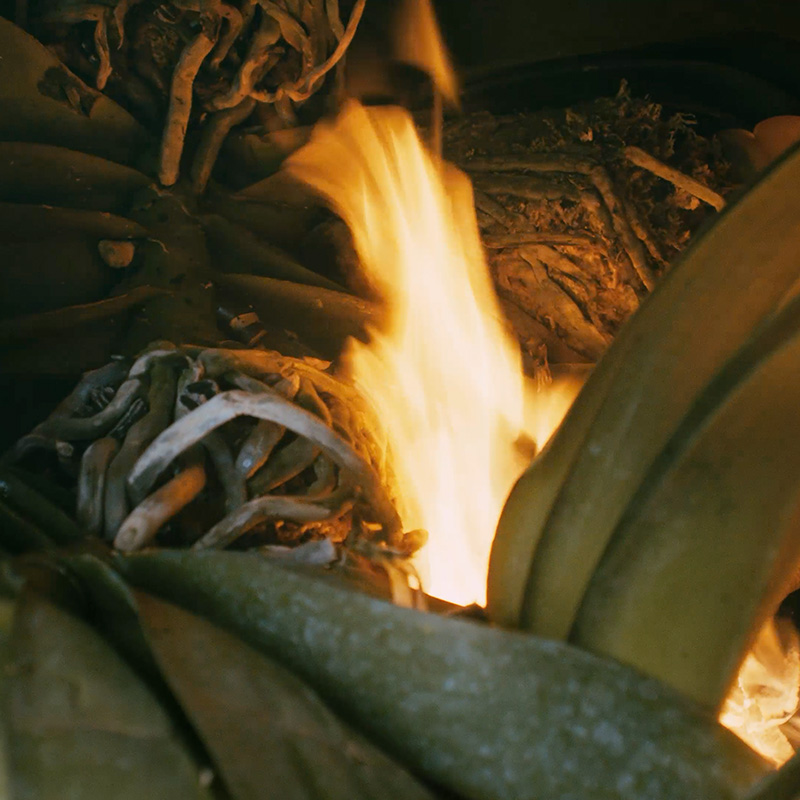 枯れた後の引き取りサービス
